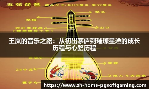 王岚的音乐之路：从初出茅庐到璀璨星途的成长历程与心路历程