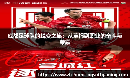 成都足球队的蜕变之旅：从草根到职业的奋斗与荣耀