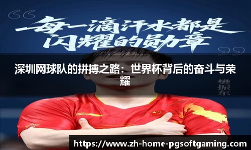 深圳网球队的拼搏之路：世界杯背后的奋斗与荣耀