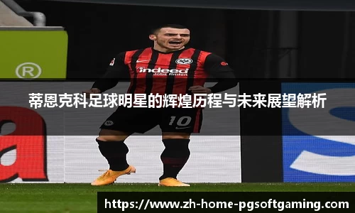 蒂恩克科足球明星的辉煌历程与未来展望解析